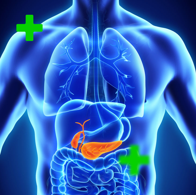 zyropathy-pancreas