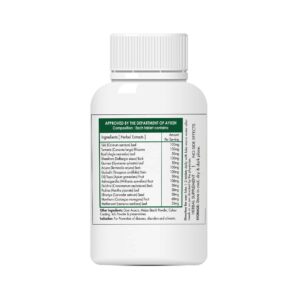 Z-MVIT