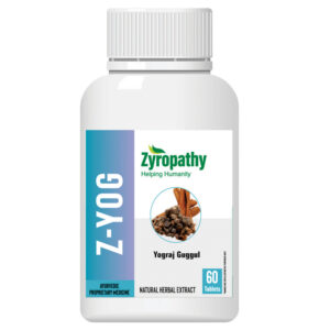 Z-Yog - Natural Support for Digestion