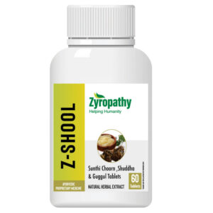 Z Shool - Digestive System Support Supplement