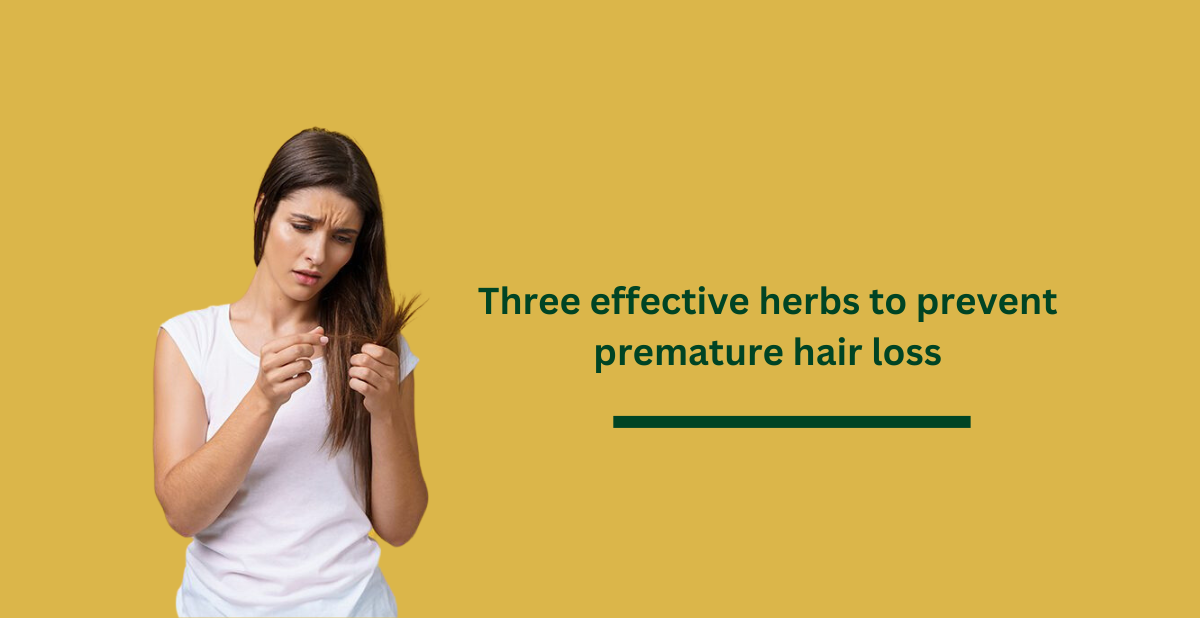 Three effective herbs to prevent premature hair loss
